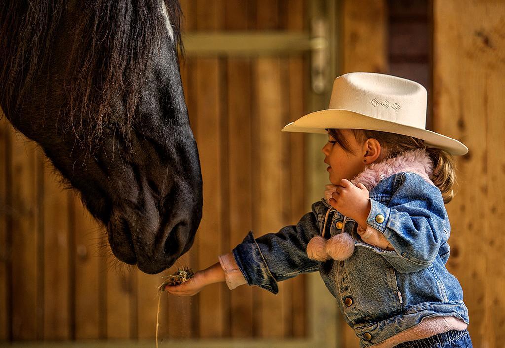 El Bronco Working Ranch Izsák Zewnętrze zdjęcie