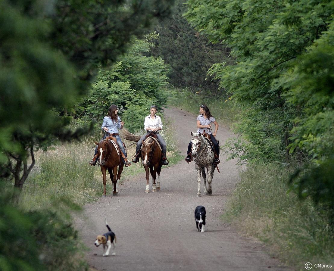 El Bronco Working Ranch Izsák Zewnętrze zdjęcie